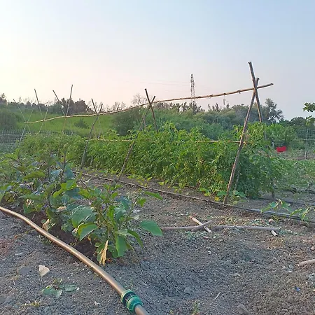 Le Campanelle - Sicilia - Cefalu Farma *