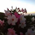 Κατάλυμα σε φάρμα Le Campanelle - Sicilia - Cefalu Lascari