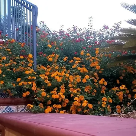 Le Campanelle - Sicilia - Cefalù Alloggio per agriturismo *