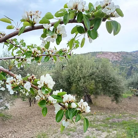 Alloggio per agriturismo Le Campanelle - Sicilia - Cefalù Lascari