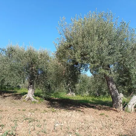 Alloggio per agriturismo Le Campanelle - Sicilia - Cefalù *