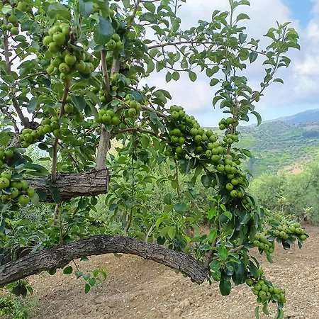 Le Campanelle - Sicilia - Cefalù Alloggio per agriturismo Lascari