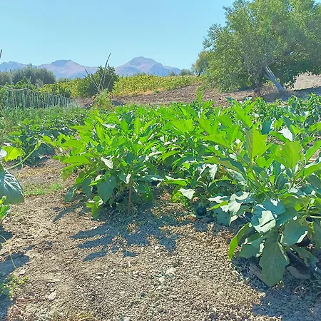 Alloggio per agriturismo Le Campanelle - Sicilia - Cefalù *