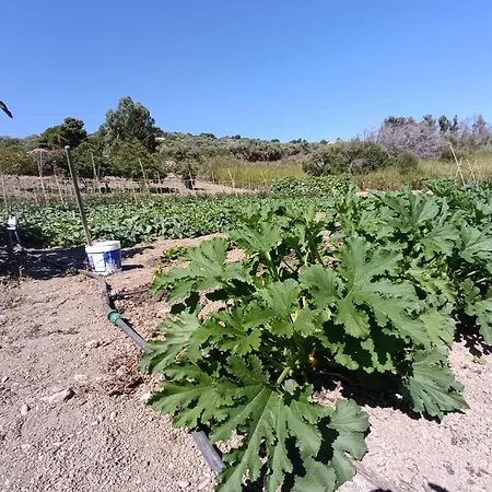 Le Campanelle - Sicilia - Cefalù Alloggio per agriturismo