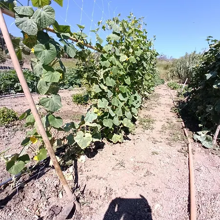 Le Campanelle - Sicilia - Cefalù Alloggio per agriturismo *