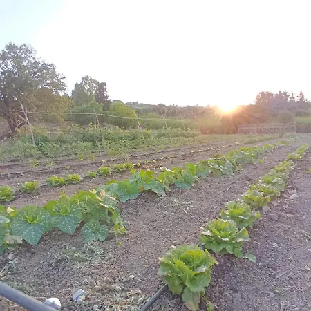 Alloggio per agriturismo Le Campanelle - Sicilia - Cefalù *