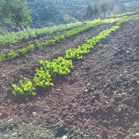 Le Campanelle - Sicilia - Cefalù